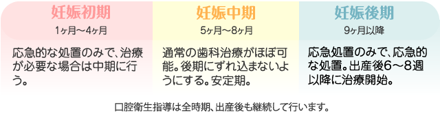 妊娠初期・応急的な処置のみで、治療が必要な場合は中期に行う。中期・通常の歯科治療がほぼ可能。後期にずれ込まないようにする。安定期。/後期・応急処置のみで、応急的な処置。出産後６～８週以降に治療開始。